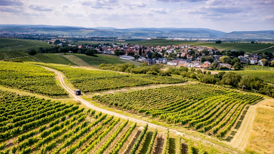 Horrweiler Gewürzgärtchen