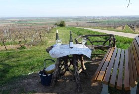 Picknickplatz zwischen Bechtheim und Mettenheim © Herbert Hill