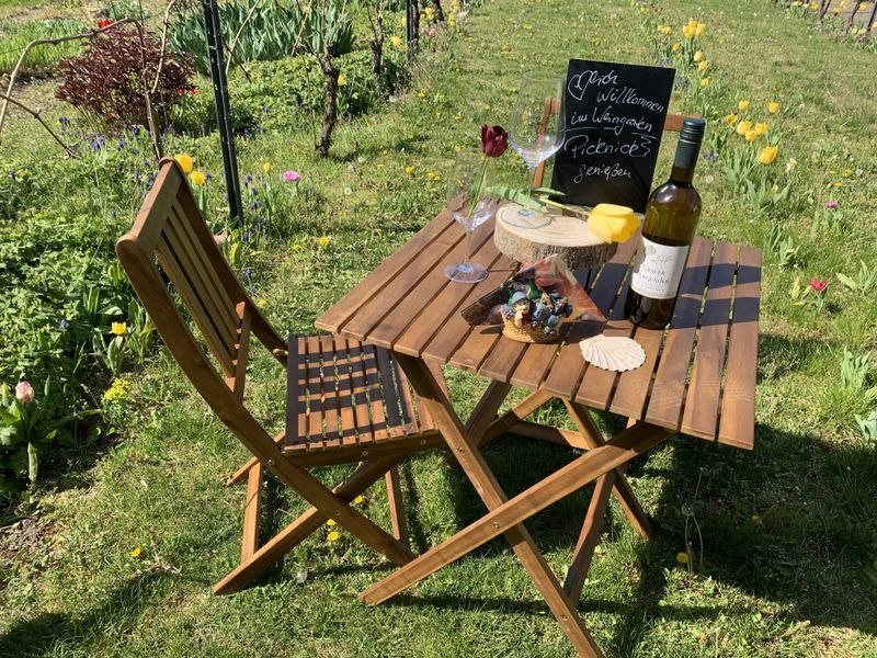Picknickplatz im Weingut Pfaff, &copy; Weingut Pfaff