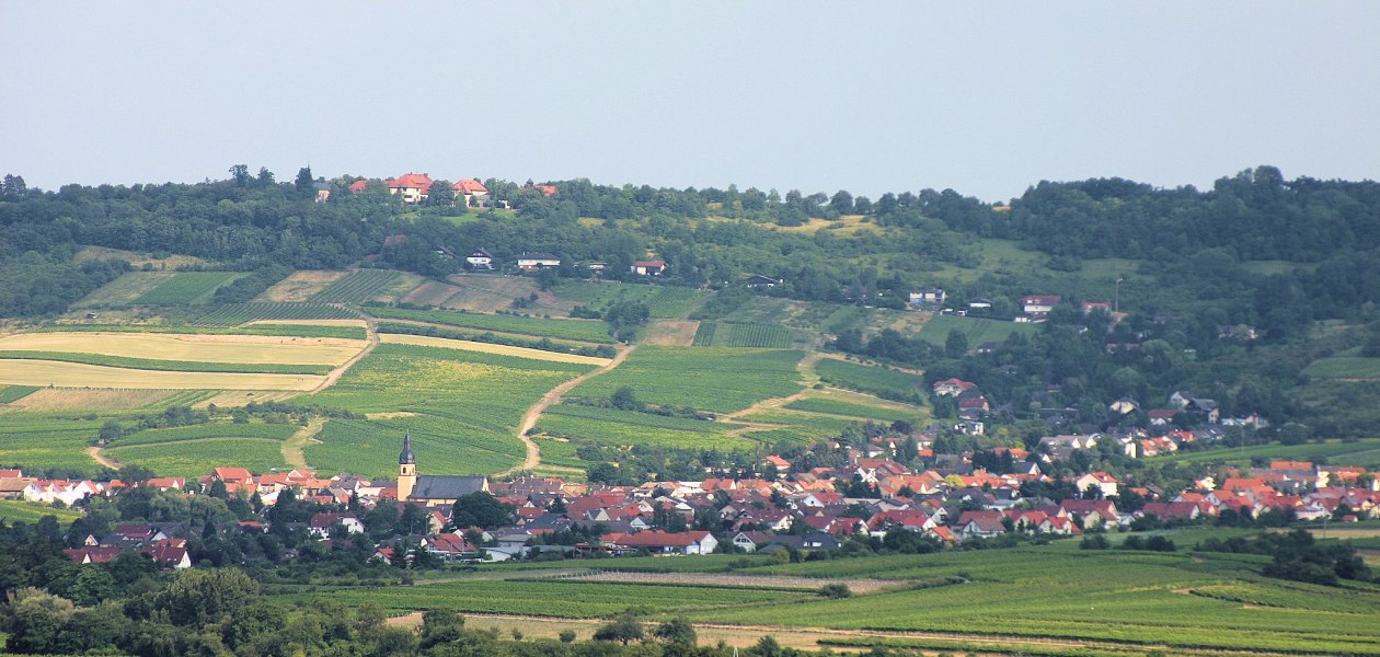 FamilienWeinGut Feser_Panorama, &copy; FamilienWeinGut Feser