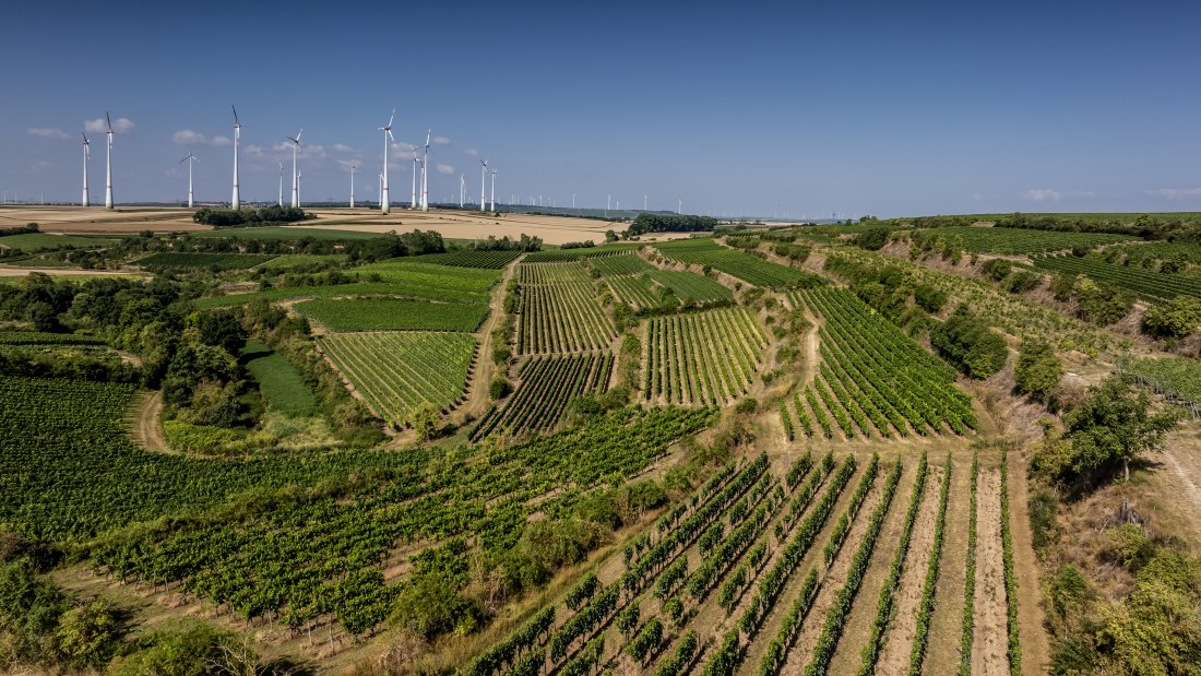 Alsheimer Römerberg, © Torsten Silz