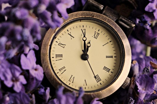 Programm&uuml;bersicht zu den Lesungen, &copy;  S. Hermann &amp;amp; F. Richter auf Pixabay 
