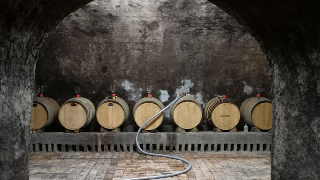 Weingut Dr. Alex Senfter_Keller, &copy; Weingut Dr. Alex Senfter