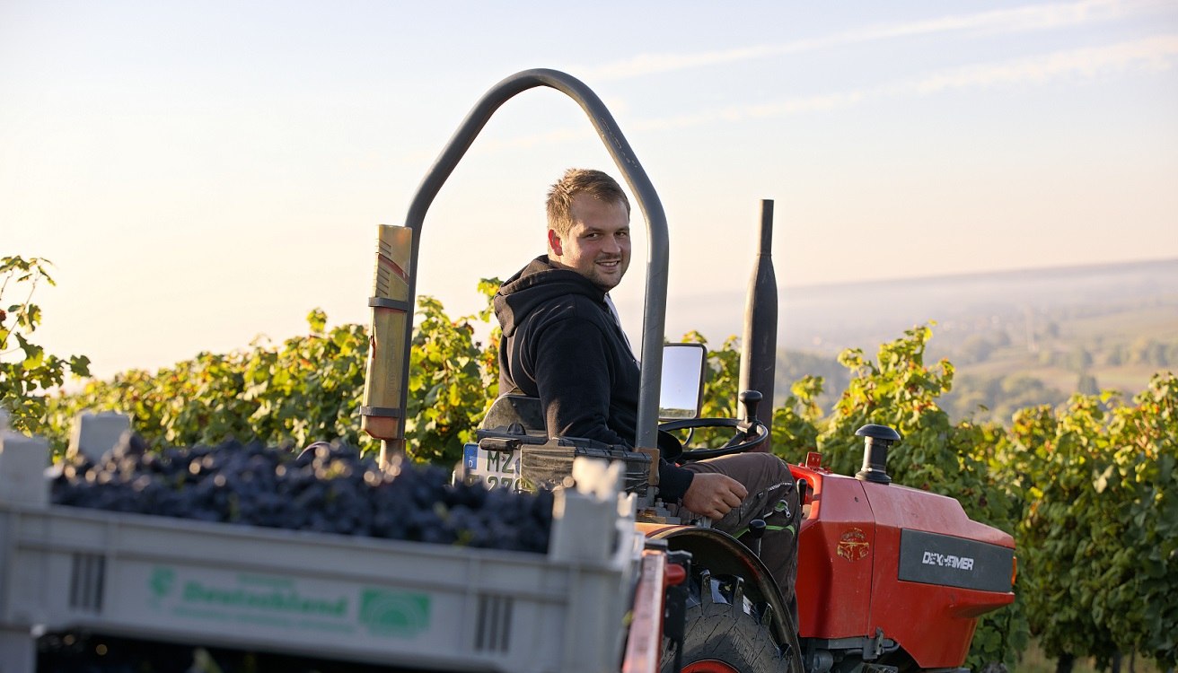Weingut Baum-Barth_Traktor, &copy; Weingut Baum-Barth