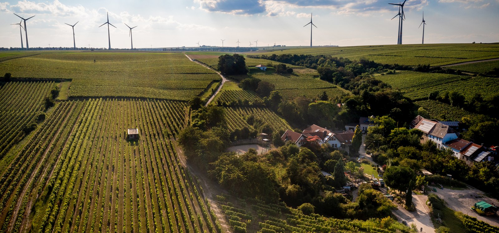 Alsheimer Fischerpfad