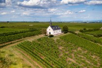 Abenheimer Klausenberg, &copy; Torsten Silz