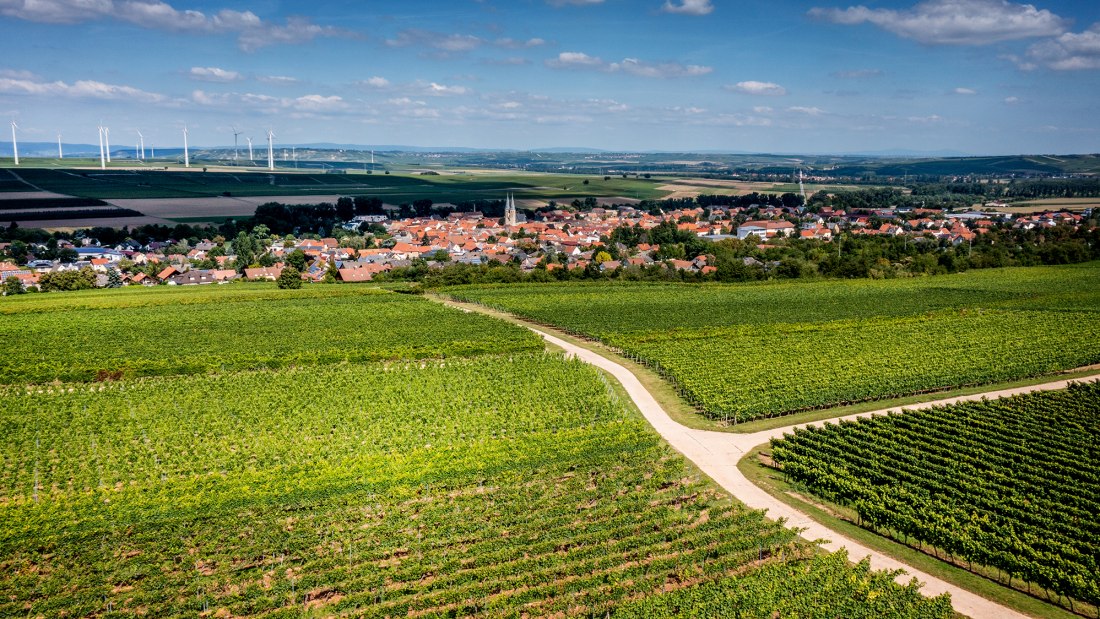 Flonheimer Rotenpfad, &copy; Rheinhessenwein e.V./Torsten Silz