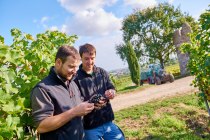 Weingut Geil_Winzer, &copy; Weingut Geil