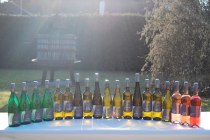Weingut Siebenhof_Weinflaschen, &copy; Weingut Siebenhof