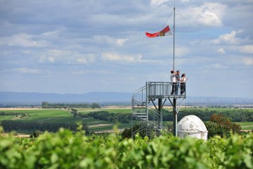 Aussichtturm Fl&ouml;rsheim-Dalsheim, &copy; VG Monsheim Fotograf Carsten Costard