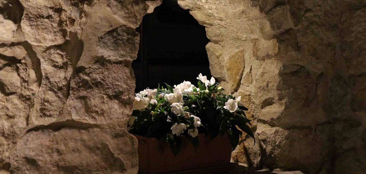 Weingut Schulz_Blumen, &copy; Weingut Schulz