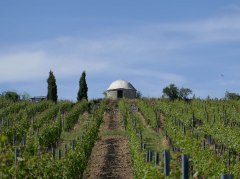 Weinbergshaus Westhofen © Michael Jung