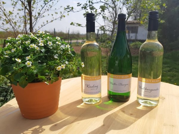 Weingut Klein_Weinflaschen, &copy; Weingut Klein