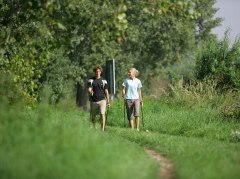 Nordic Walking &copy; Rheinhessen-Touristik GmbH - intention Werbeagentur GmbH