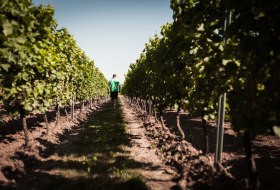 Vinothek Dackermann &copy; Weingut Dackermann