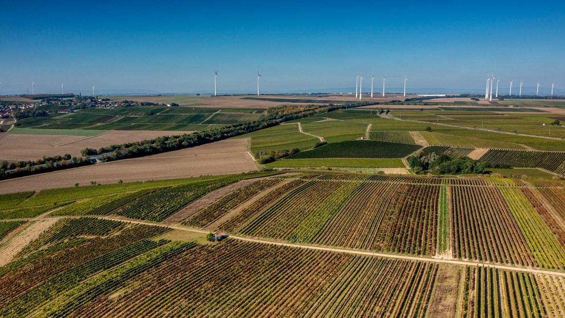 Biebelnheimer Rosengarten