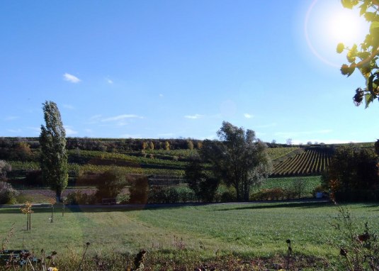 Grittmann &copy; Weingut Grittmann