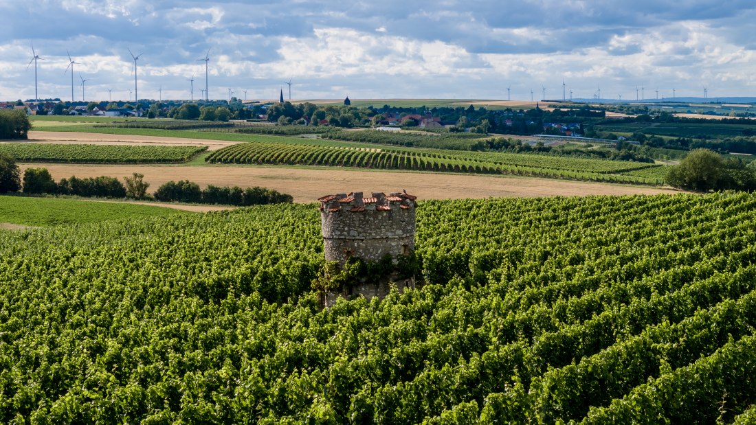 Ober-Flörsheimer Blücherpfad