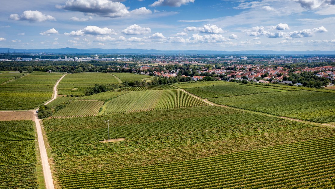 Herrnsheimer Schlo&szlig;