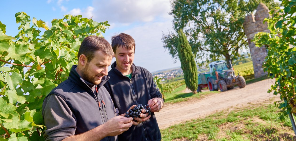 Weingut Geil_Winzer, &copy; Weingut Geil