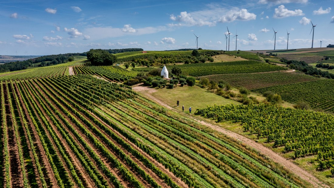 Flonheimer Rotenpfad, &copy; Rheinhessenwein e.V./Torsten Silz