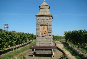 Weinberge Dittelsheim-He&szlig;loch &copy; Verbandsgemeinde Wonnegau / Michael Thier
