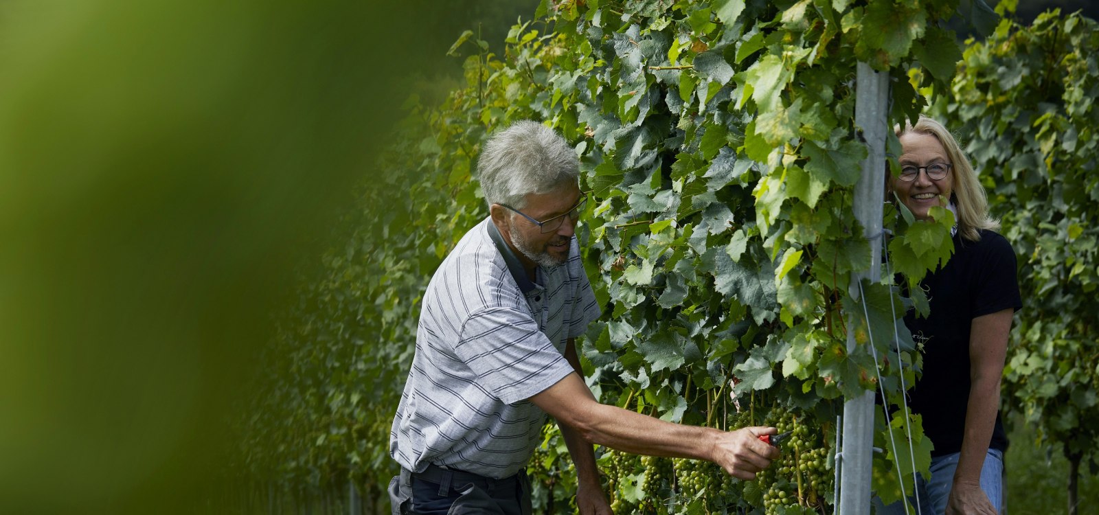 _MG_0880, © Weingut Doll & Göth