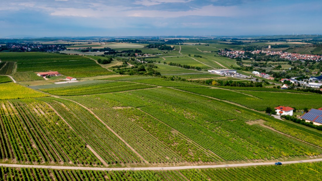Niersteiner Parterberg-DJI_0227-173, © Torsten Silz