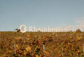 Weinberge Rheinhessen &copy; Erno Strau&szlig;