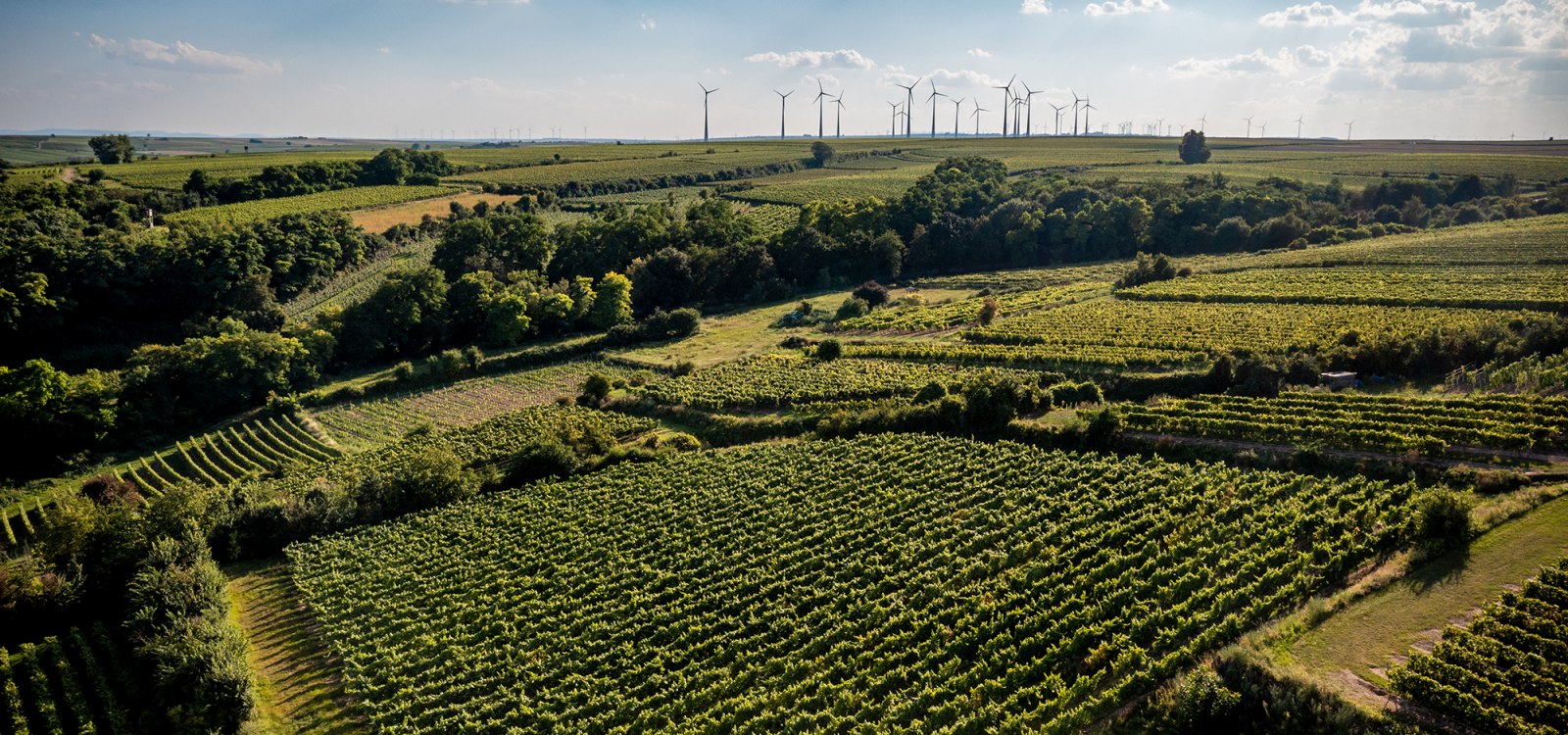 Alsheimer Fr&uuml;hmesse
