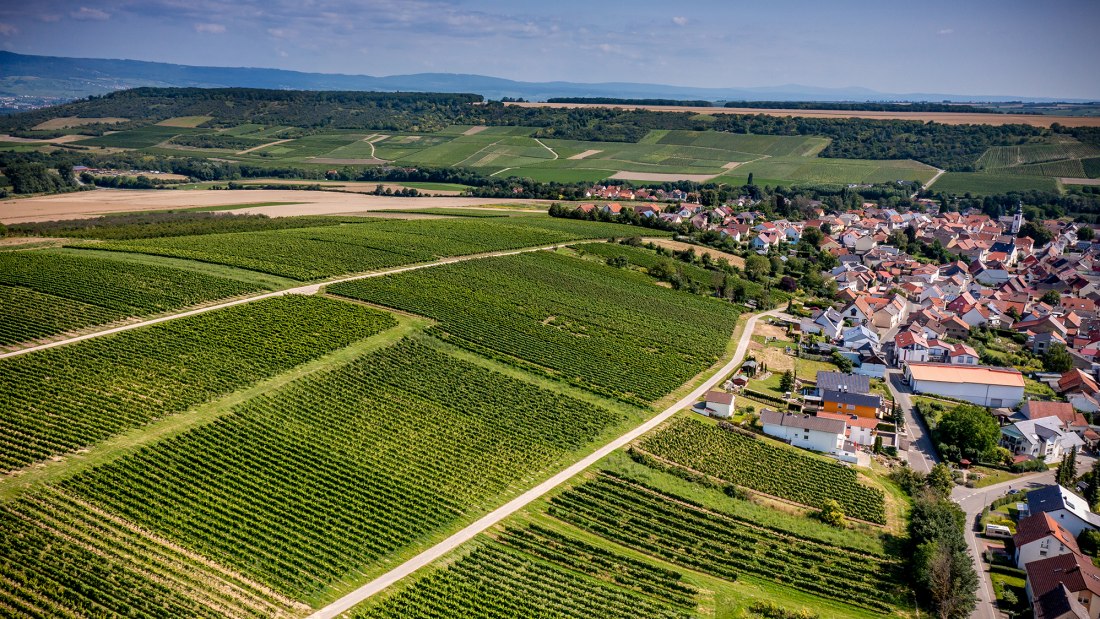 Appenheimer Eselspfad