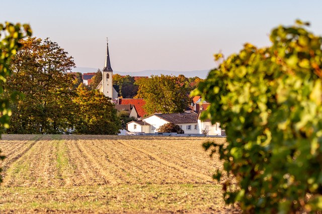 Weingut Eckert_Feld, &copy; Weingut Eckert