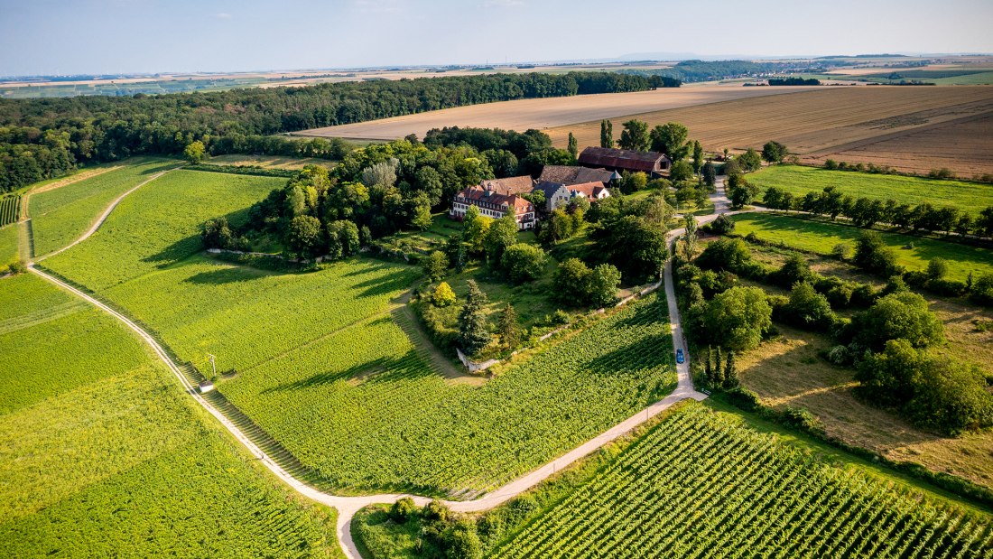 Ingelheimer Schlo&szlig; Westerhaus