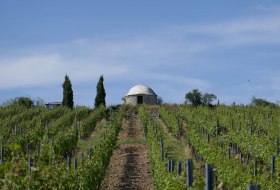 Weinbergshaus Westhofen © Michael Jung