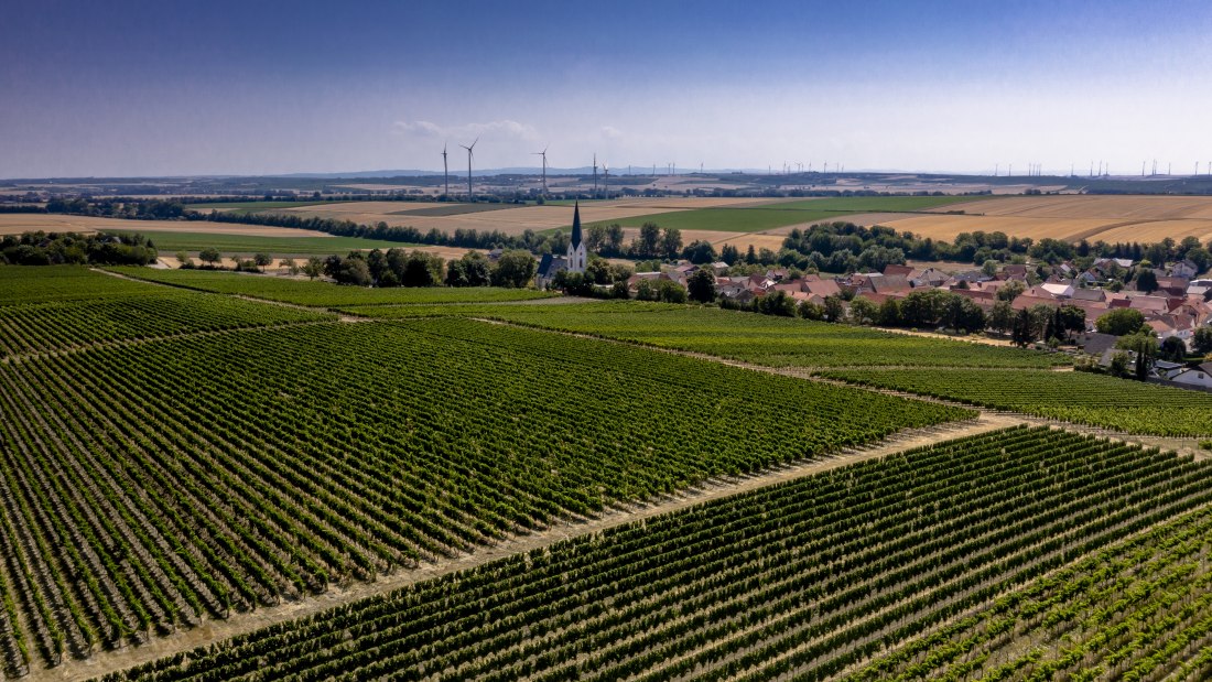 Gabsheimer Rosengarten