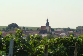 Blcik auf Bechtheim &copy; Verbandsgemeinde Wonnegau / Michael Thier