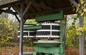Kelter Gundersheim © Touristkverein Wonnegau e.V.