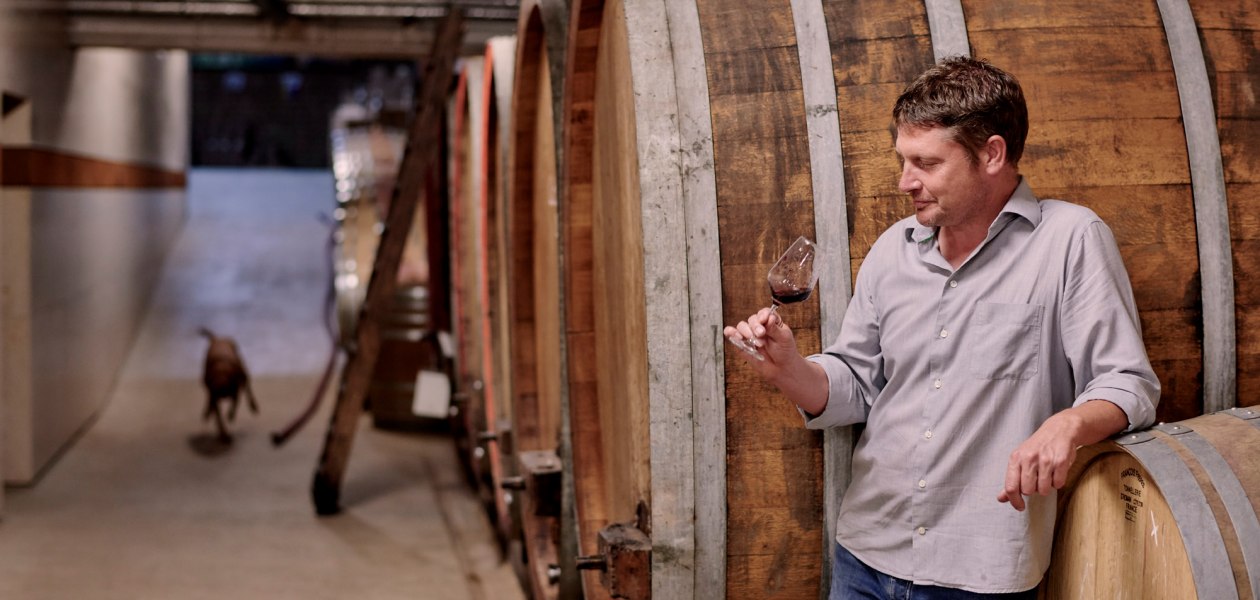 Weingut Sander_Rotweinprobe im Weinkeller, &copy; Weingut Sander