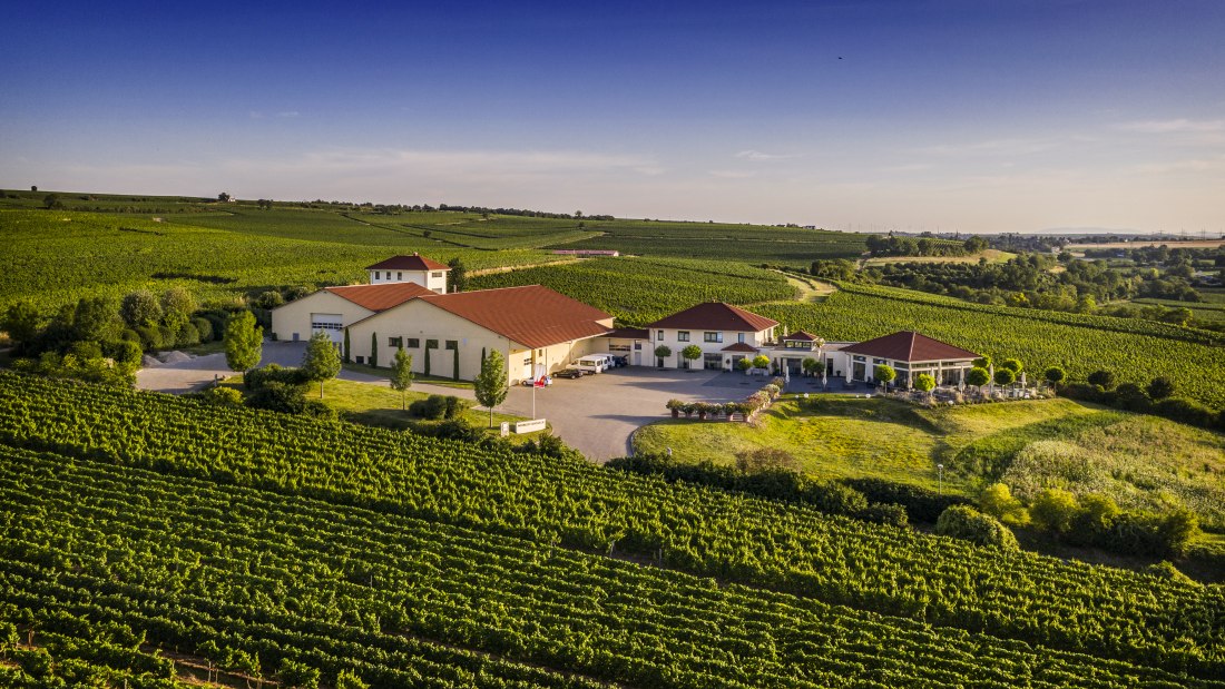 Weingut Raddeck_Weingut 2, &copy; Weingut Raddeck