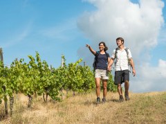 Themenwanderweg WingertsheisjerWeg © Rheinhessen Touristik / Domiki Ketz