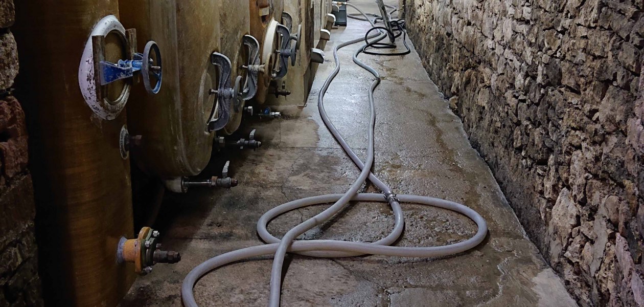 Weingut Karth&auml;userhof_Keller, &copy; Weingut Karth&auml;userhof