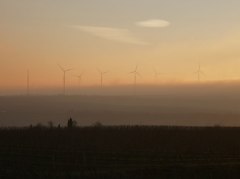 Winter im Wonnegau &copy; Michael Jung