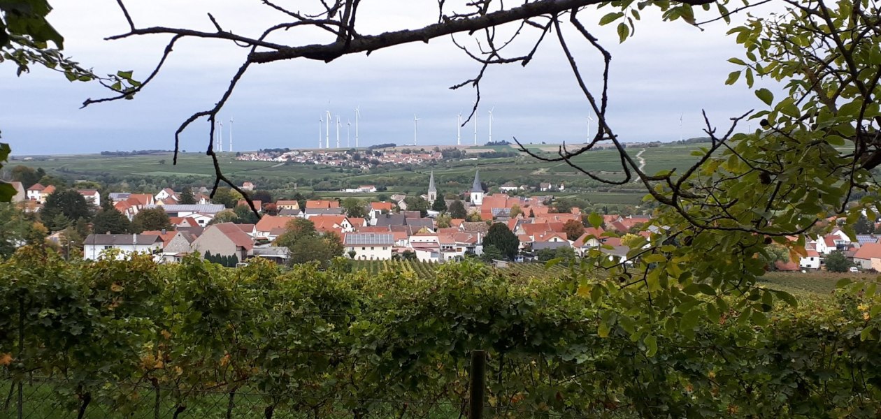Weingut Maik Hahn_Gundersheim, &copy; Weingut Maik Hahn