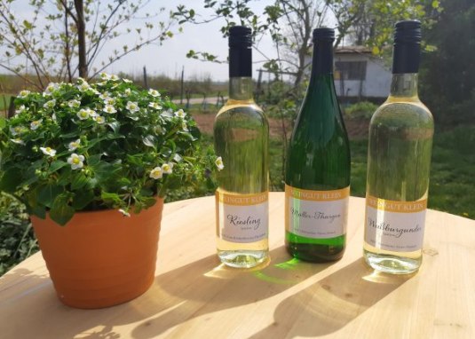 Weingut Klein_Weinflaschen &copy; Weingut Klein