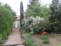 Im Garten