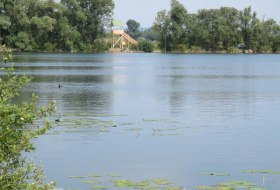 Aussichtspunkt Altrheinerlebnispfad &copy; Verbandsgemeinde Eich