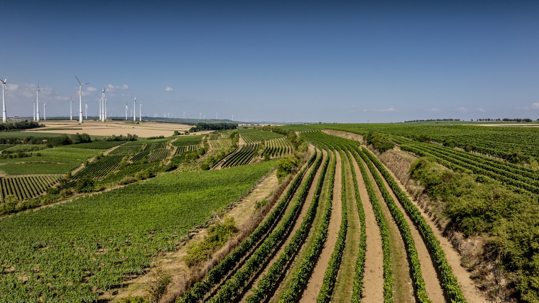 Alsheimer Römerberg, © Torsten Silz