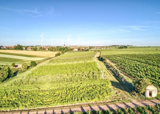 Bermersheim © Ortsgemeinde Bermersheim
