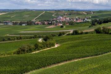 Bornheimer H&auml;hnchen
