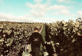 Weingut Wissgott_Weinberg &copy; Weingut Wissgott
